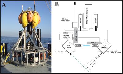 Comparing Vertical Distributions of Chl-a Fluorescence, Marine Snow, and Taxon-Specific Zooplankton in Relation to Density Using High-Resolution Optical Measurements